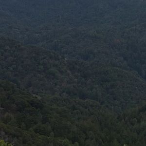 Meet your Posher, Araceli